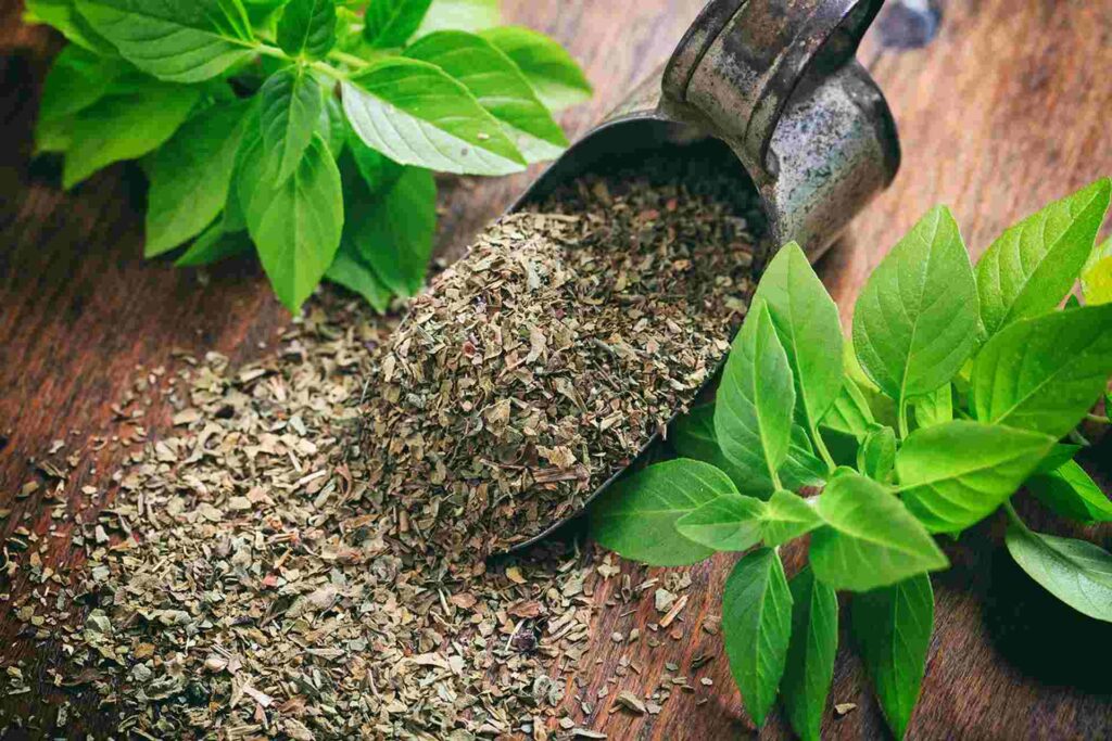 How To Dry Basil In The Oven
