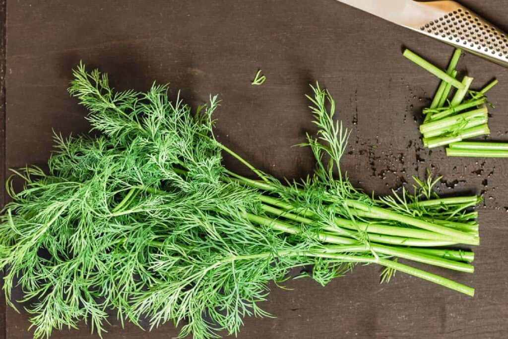 How To Store Fresh Dill At Home