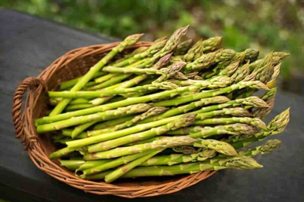 How To Tell If Asparagus Is Bad