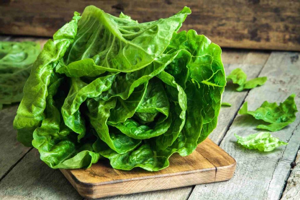 how long does lettuce last
