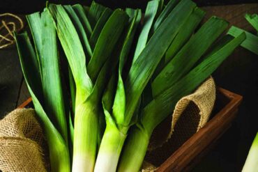 How To Store Leeks Properly